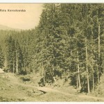 Сколе, Коростівська гута. Фото К. Ельяш. З колекції А. Паласєвича